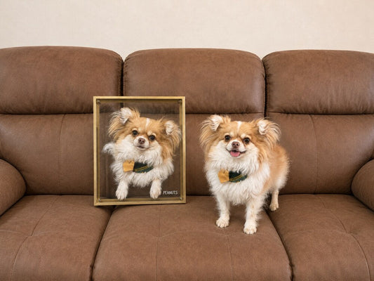 Custom glass pet portrait displayed beside the real tan and white Chihuahua