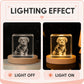 Custom 3D pet portrait square crystal