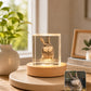 Custom 3D pet portrait square crystal