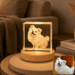 Custom 3D pet portrait square crystal