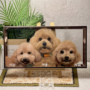 Pet Memorial Stained Glass Painting | Forever Keep Your Furry Friend