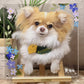 Bespoke Hand-Painted Glass Pet Portrait | Commissioned Art Piece