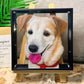 Pet Memorial Custom Glass Art Keepsake