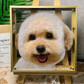 Pet Memorial Custom Glass Art Keepsake