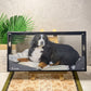 Pet Memorial Stained Glass Painting | Forever Keep Your Furry Friend