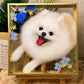 3D Hand-Painted Pet Portrait - One Pet