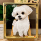 3D Hand-Painted Pet Portrait - One Pet