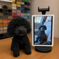 Handmade black poodle pet replica displayed beside the customer's reference photo on a tablet.