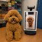 Handmade brown poodle pet replica displayed beside the customer's reference photo on a tablet.