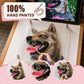 Artist hand-painting a realistic wolf portrait on a clear acrylic panel with detail views