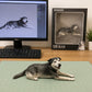 Custom black and gray senior dog figurine in a relaxed lying pose, displayed beside its digital 3D design and collectible packaging.