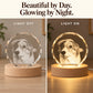 Custom pet crystal night light with an engraved dog portrait on a wooden LED base, shown with the light off and on.