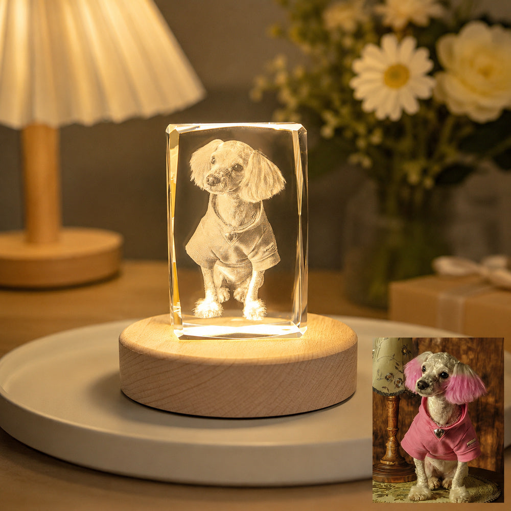 Personalized dog photo engraved inside a rectangular crystal night light on a warm wooden LED base, shown beside the original pet photo.