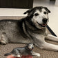 Hand holding a custom figurine of a black and gray senior dog in a lying pose beside the real pet.