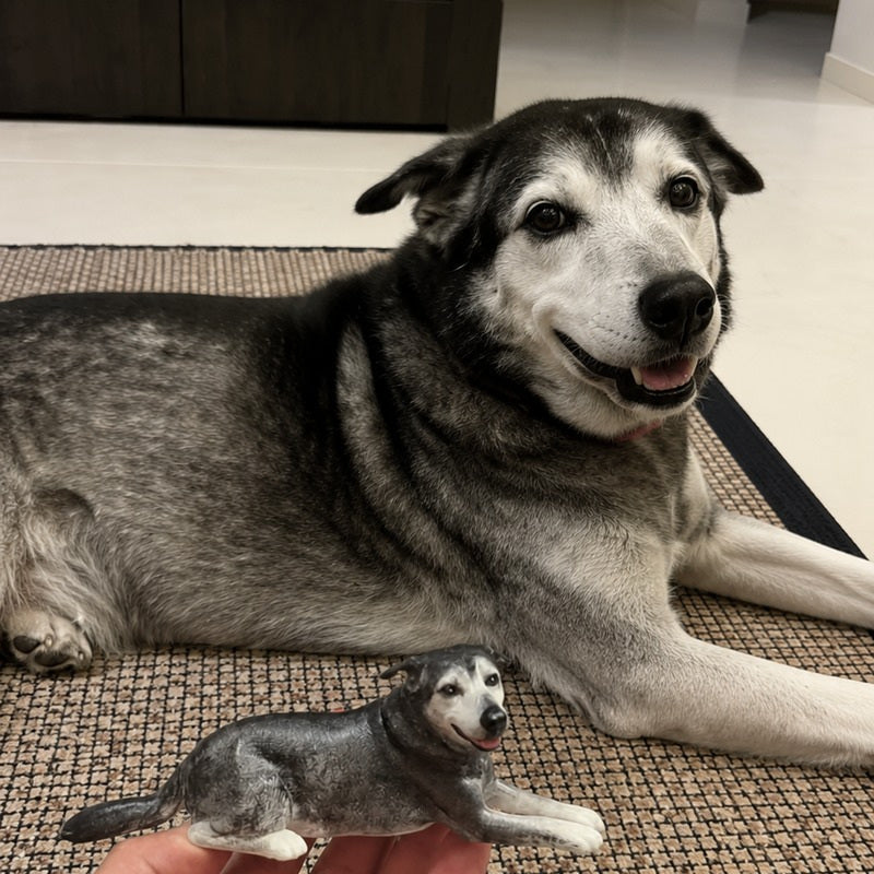Hand holding a custom figurine of a black and gray senior dog in a lying pose beside the real pet.