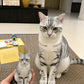 Hand holding a custom silver tabby cat figurine beside the real cat used as the reference.