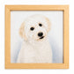 Custom Hand-Drawn Colored Pencil Pet Portrait