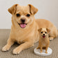 Custom miniature figurine of a small tan dog displayed on a white round base beside the real pet.