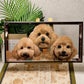 Custom glass pet portrait of Penny, Archie, and Nina, three dogs displayed together in a framed portrait