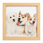 Custom Hand-Drawn Colored Pencil Pet Portrait