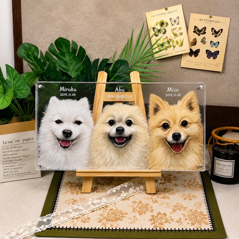 Custom memorial glass pet portrait of three Pomeranian dogs named Miruku, Abu and Miso, displayed on a wooden easel.