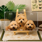 Custom memorial glass pet portrait of three apricot Toy Poodles with personalized names and dates, displayed on a wooden easel.