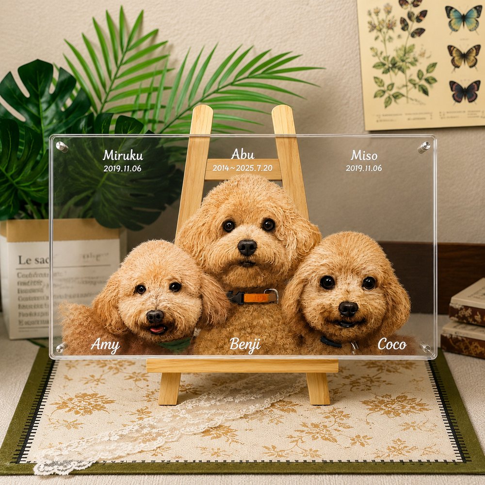 Custom memorial glass pet portrait of three apricot Toy Poodles with personalized names and dates, displayed on a wooden easel.