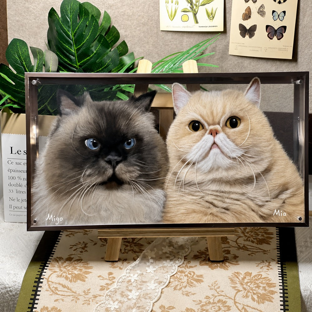 Custom glass pet portrait of Migo and Mimi, two cats displayed together in a framed multiple pet portrait