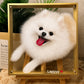 Custom glass portrait of a smiling white Pomeranian displayed in a gold-tone frame on a wooden easel and personalized with the name Lepyyy.