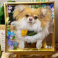 Custom Pet Glass Art | Handmade Pet Portrait