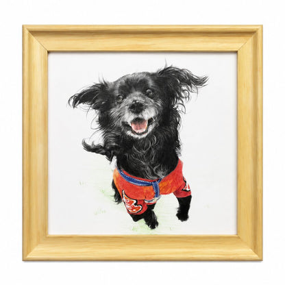 Custom Hand-Drawn Colored Pencil Pet Portrait