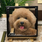 Pet memorial portrait on glass featuring Dabbie with name and memorial dates in a square black frame