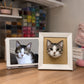 Handmade 3D felt portrait of a gray and white tabby cat displayed in a white shadow-box frame beside the cat’s reference photo.