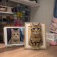 Handmade full-body 3D felt portrait of a brown tabby cat displayed in a wooden frame beside the cat’s reference photo.
